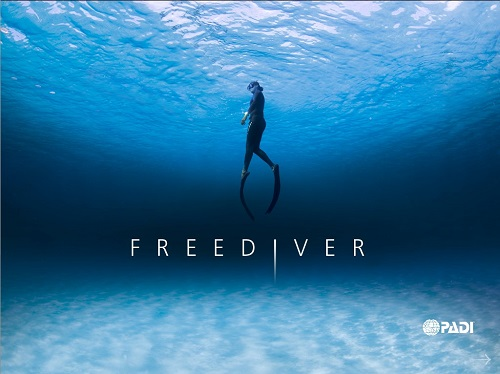 PADI eLearning - Freediver - Touch (no PIC required)